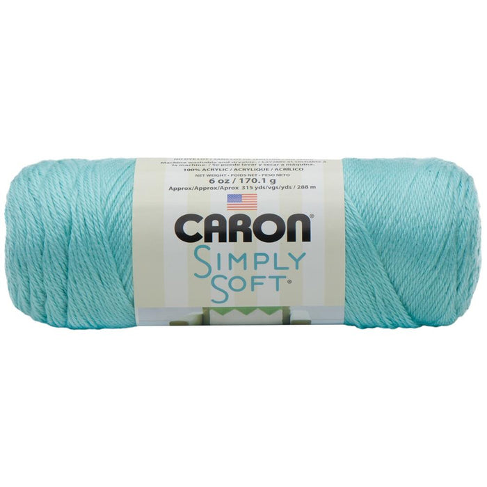 Caron Simply Soft Collection Yarn - Robins Egg