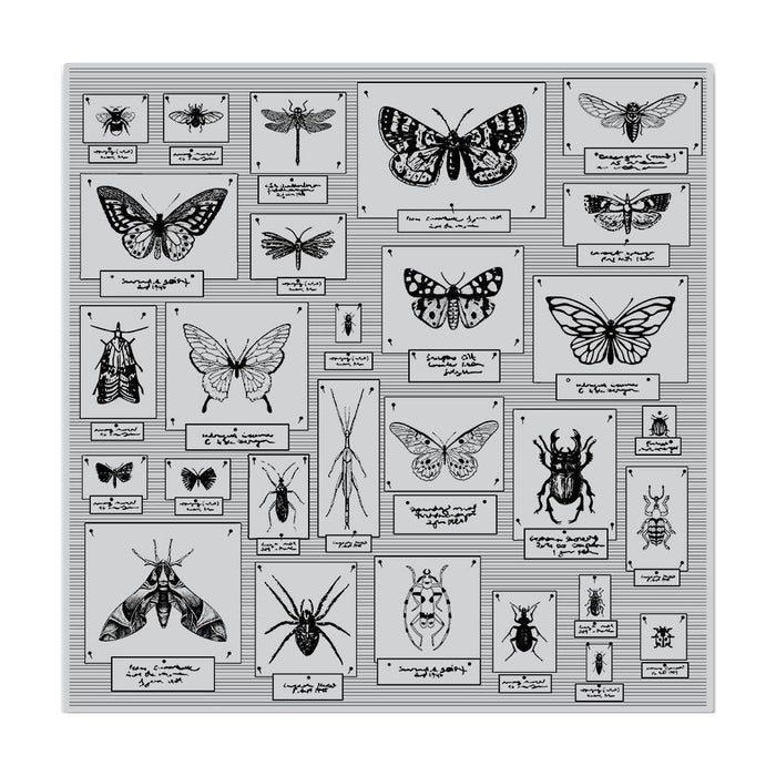 Hero Arts Bold Prints Background Cling Stamp – 6x6 – You Pick CG720