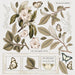 49 and Market - 12"x12" Collection Pack - Vintage Artistry Essentials
