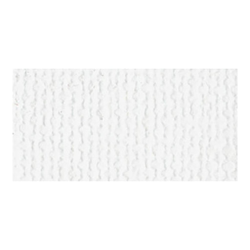 Bazzill Mono Cardstock 12"X12"- bazzil white-canvas