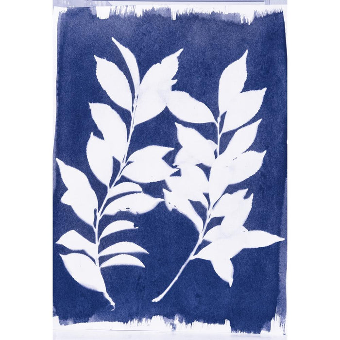 Jacquard Cyanotype Chemistry Set