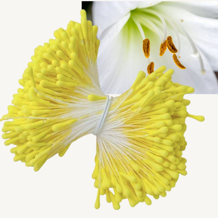 Doodles - Laplaz Flower Stamens Double Headed - Yellow 50pcs