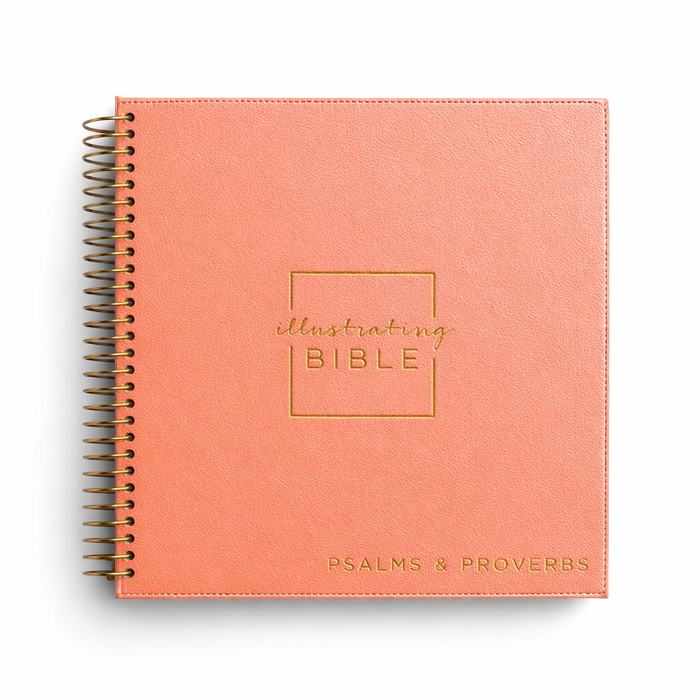 Doodles Bundle - Illustrated Faith 3 Bible Books - Mega Starter Kit 2