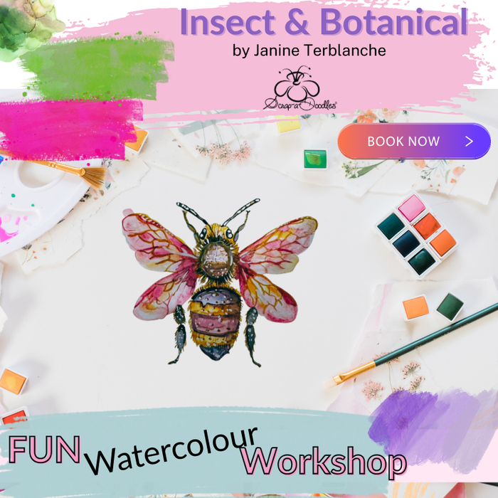 Insect & Botanical Painting  – A Creative Morning for Women - Watercolour - coming soon