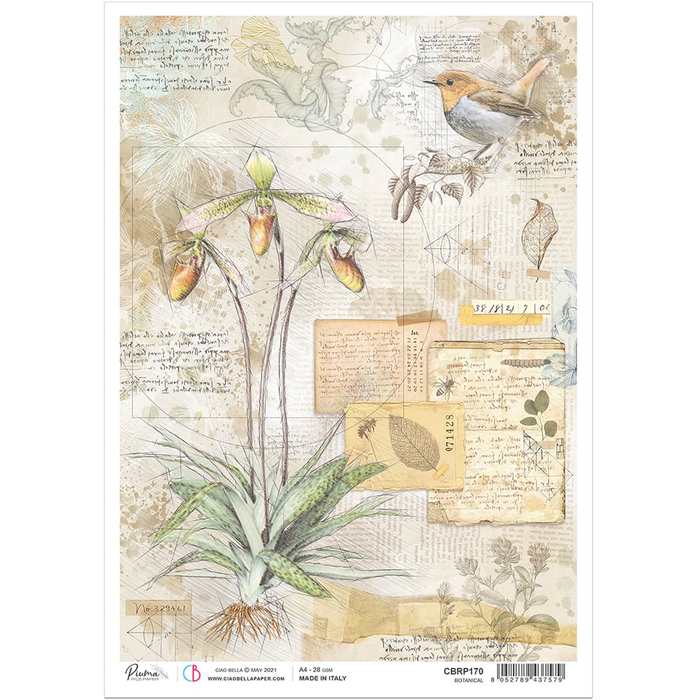 Ciao Bella - Rice Paper Sheet A4 1/Pkg - Botanical