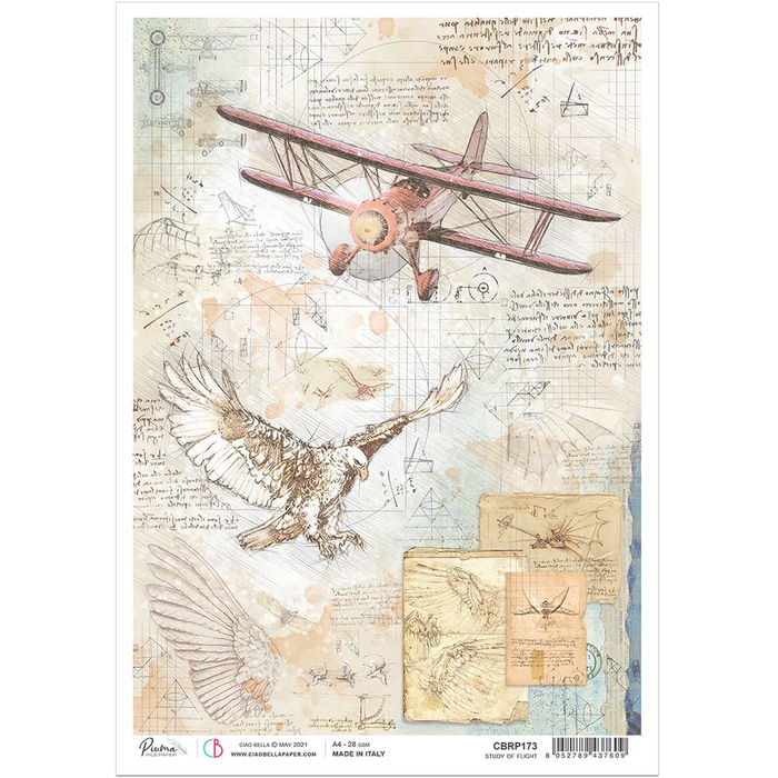 Ciao Bella - Rice Paper Sheet A4 1/Pkg - Study of Flight