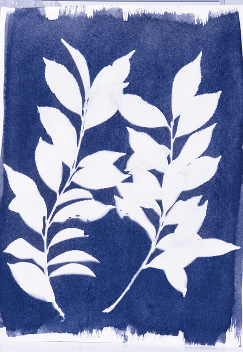 Jacquard Cyanotype Chemistry Set