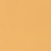 Bazzill Basics - Fourz Cardstock - 12"x12" - Citrus