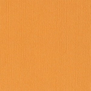 Bazzill Basics - Fourz Cardstock - 12"x12" - Mango