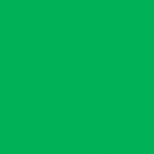 Core'dinations Core Foundations Cardstock 12"X12"-Primary Green