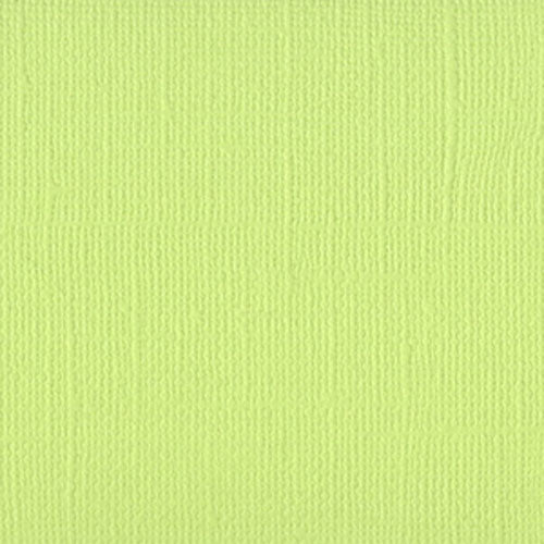 Bazzill Basics - Monochromatic Cardstock - 12"x12" - Limeade