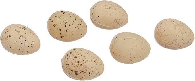 Touch Of Nature Miniature Plastic Bird Eggs 1" 6/Pkg-Beige W/Brown Speckles