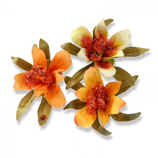Sizzix - Thinlits Die Set 3PK - Flower, Mini Lily