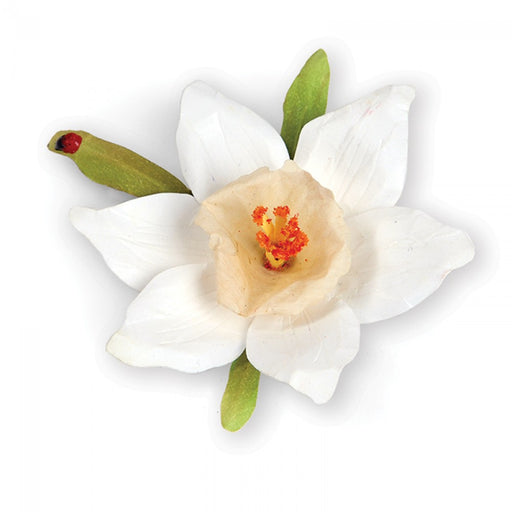 Sizzix - Thinlits Die Set 12PK - Flower, Narcissus (Paperwhites)