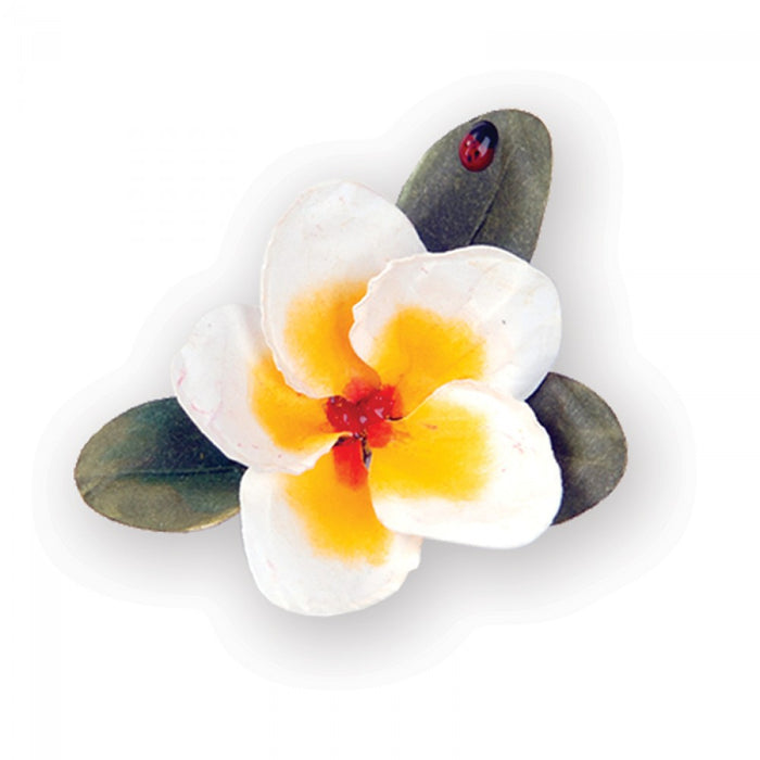 Sizzix - Thinlits Die Set 9PK - Flower, Plumeria