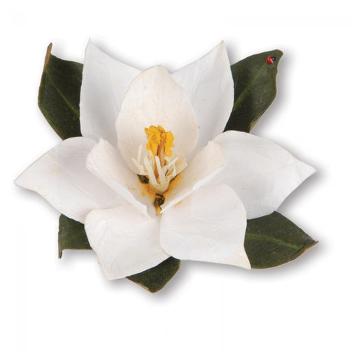 Sizzix - Thinlits Die Set 6PK - Flower, Southern Magnolia