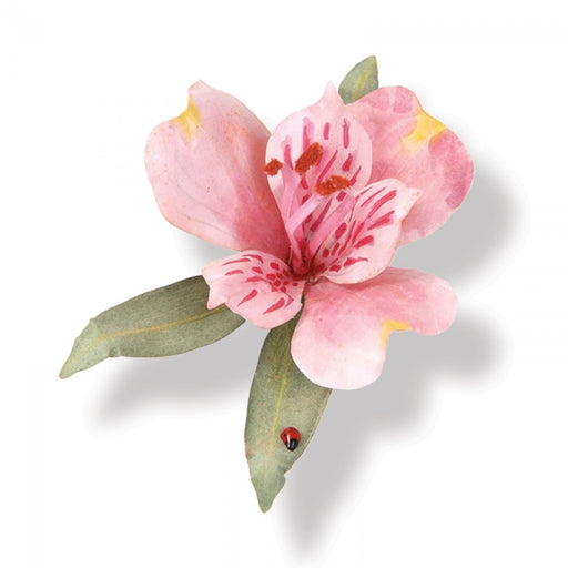 Sizzix - Thinlits Die Set 10PK - Flower, Alstroemeria
