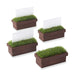 Kate Aspen - Evergreen Window Planter - Place Card And Photo Holder (Set Of 4)