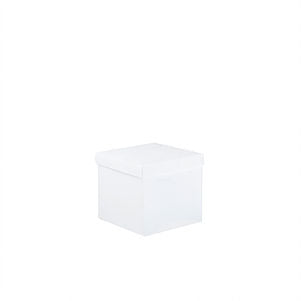 Creative Swirl Storage Box White - Mini