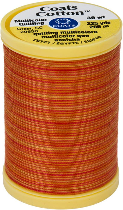 Coats Cotton Machine Quilting Thread Multicolor 225yd-Canyon Sunset