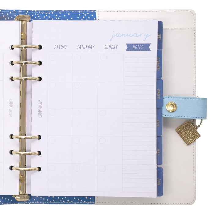 Carpe Diem - Personal Planner - Feathers