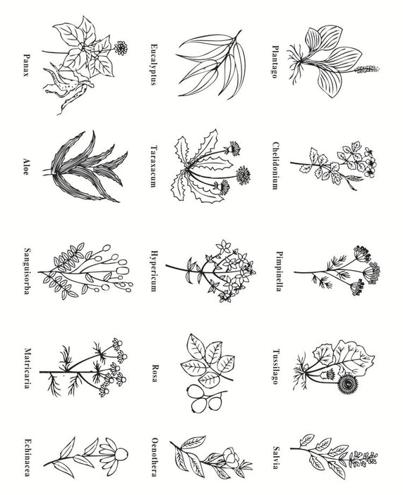 Doodles - Clear Stamps-Flowers with Names