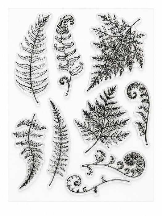 Doodles - Clear Stamps - Ferns