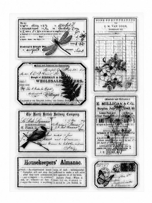 Doodles - Clear Stamps - Vintage Script