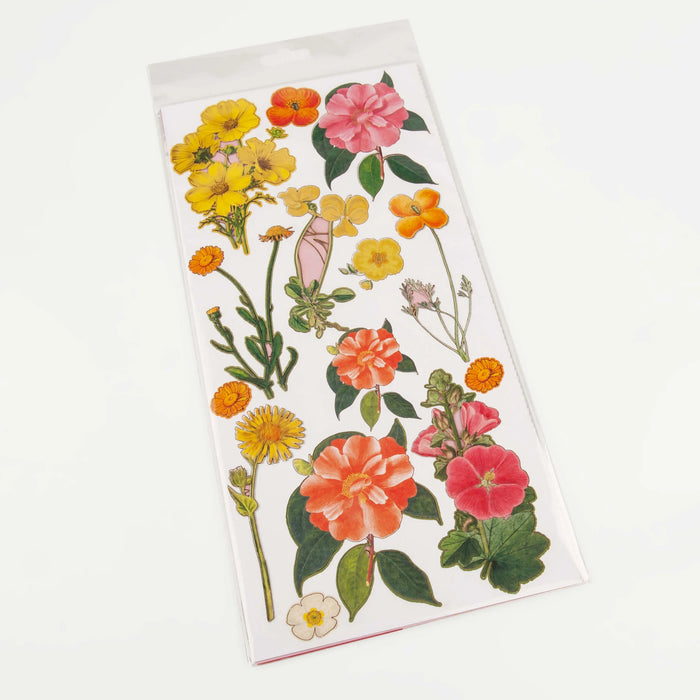 49 And Market - Spectrum Sherbet – Laser Cut - Strawberry Lemonade