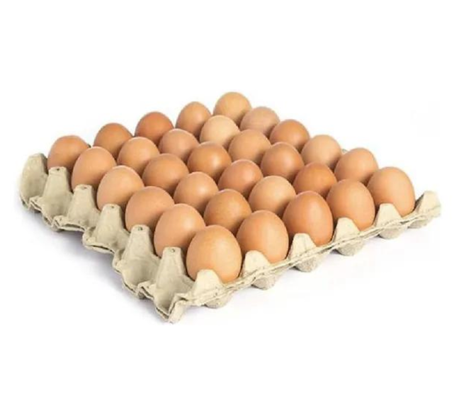 Doodles - Egg Holder Trays Nr 17 2 1/2 Dozen - 10 pieces