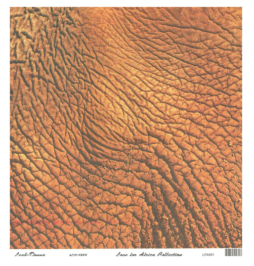 Leah-Donna - 12" x 12" Paper Pack Collection - Love for Africa