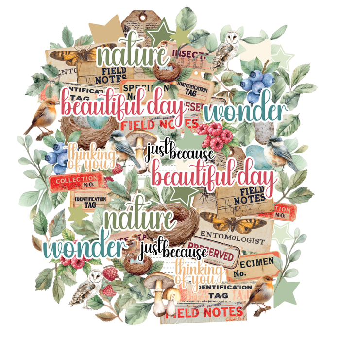 Uniquely Creative - Botanical Chronicles Creative Cuts