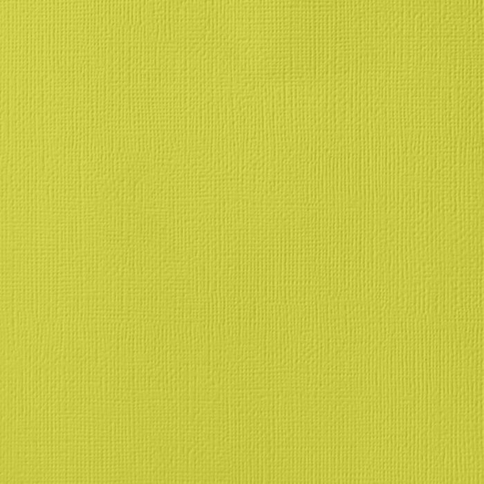 American Crafts - 12'x12" Textured Cardstock - Limeade (10 Sheets)