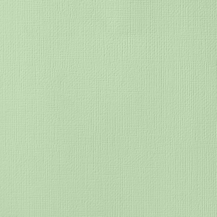 American Crafts - 12'x12" Textured Cardstock - Peapod (1 Sheets)