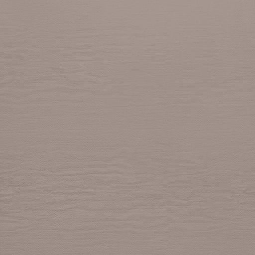 American Crafts - 12'x12" Textured Cardstock - Nickel (10sheets)