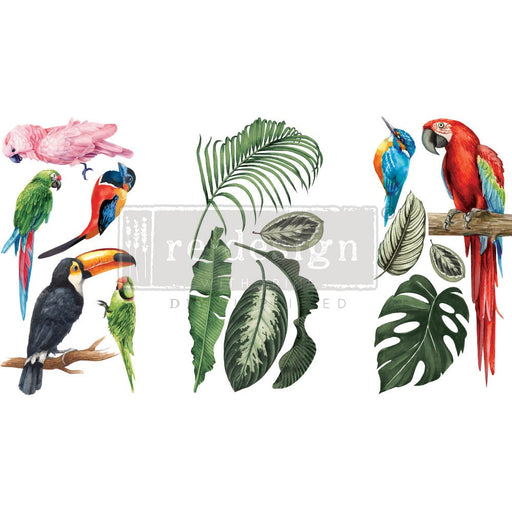 Prima Marketing Re-Design Decor Transfers 6"X12" 3/Sheets-Tropical Birds