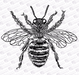 Doodles - Silk Screen Stencils - Bee - 92mm x 98mm