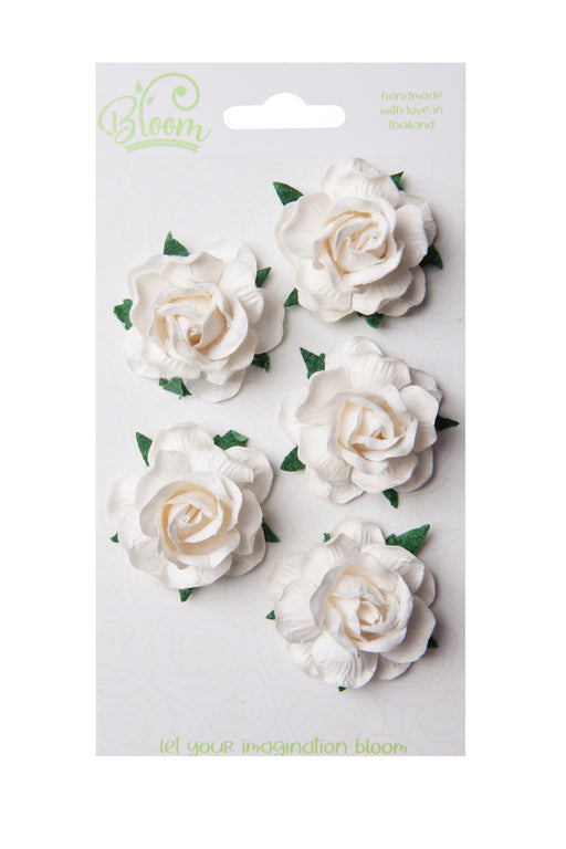 Bloom - Wild Roses - Ivory (5pc)