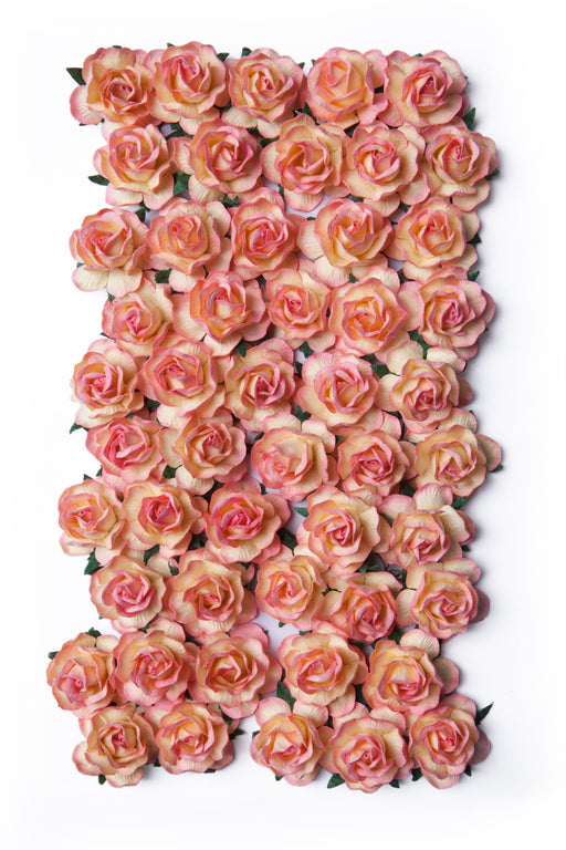 Bloom - Paper Flowers - Large Wild Roses - Champagne Pink (50pc-with stems)