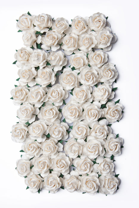 Bloom - Paper Flowers - Large Wild Roses - Ivory (50pc-with stems)