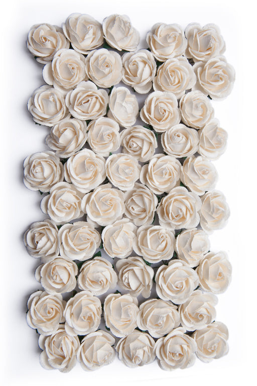 Bloom - Paper Flowers - Chelsea Roses - Ivory (50pc-with stems)