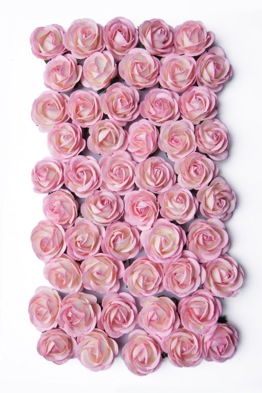 Bloom - Paper Flowers - Baby Pink and Ivory (50pc with stems)