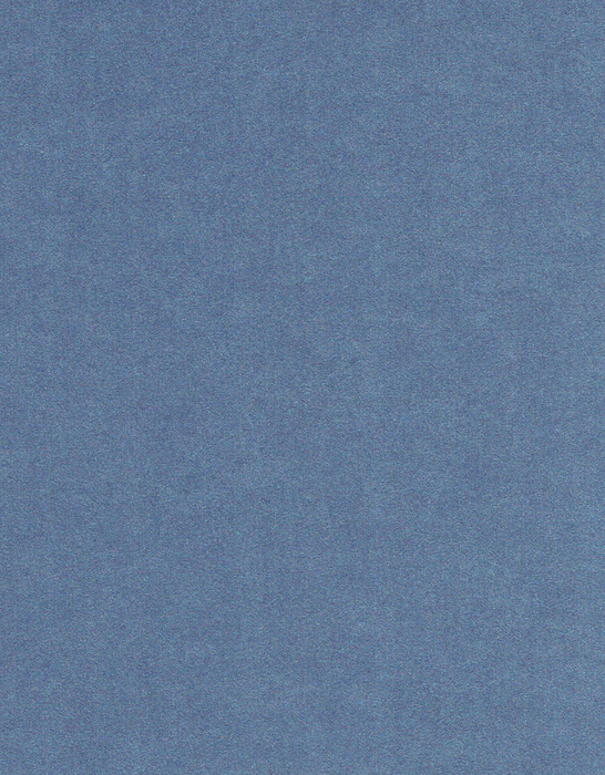 Petallics - Cardstock - 12" x 12" - 280gsm - Steel Blue Cover - 10pk