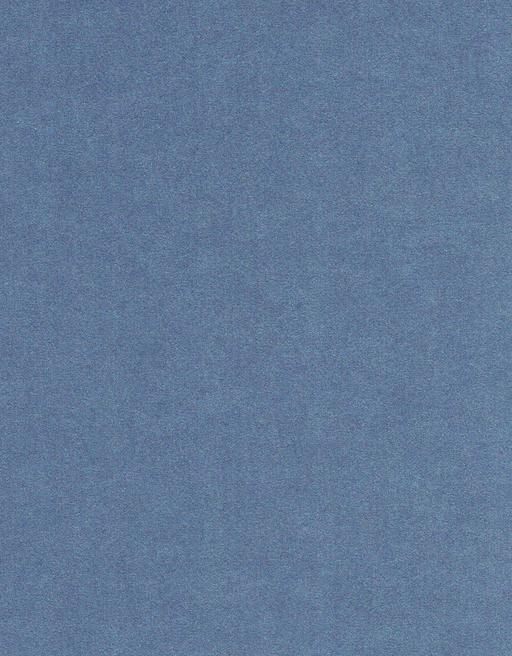 Petallics - Cardstock - Letter - 280gsm - Steel Blue Cover