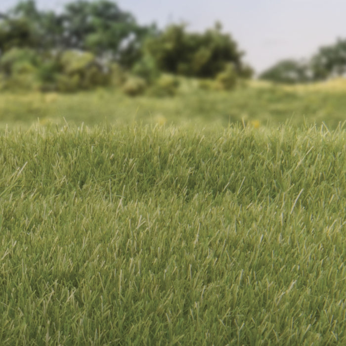 Woodland Scenics Static Grass 2mm