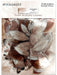 Color Swatch: Toast Acetate Leaves-