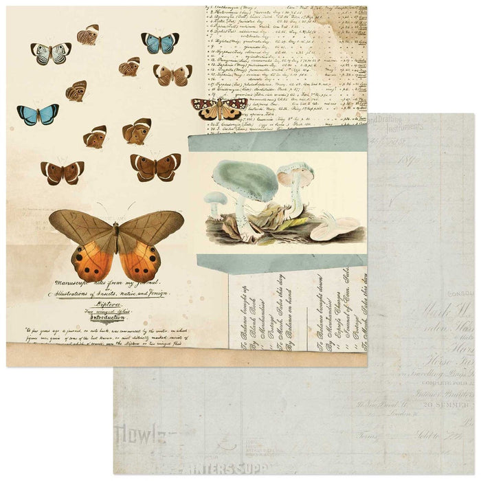 49 and Market-Curators Meadow Double-Sided Cardstock 12"X12"-Papillon