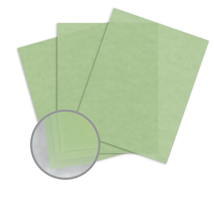 Doodles - Printable Vellum - A4 - Spring - 10Pk