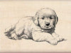 Inkadinkado - Wood Mounted Stamp - Little puppy