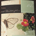 DCWV - Decorative Trim Accents - Mariposa Butterfly